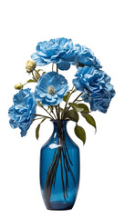 Flowers in blue vase isolated on transparent background