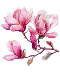 beautiful watercolor magnolia - 1