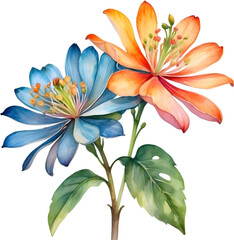Fototapeta na wymiar Watercolor painting of Palash flower.