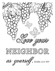 Biblical coloring illustration with a bunch of ripe grapes with green leaves hangs from a vine