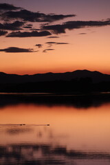 Colourful sunset over a flat lake with mountains in the background and clouds reflecting in water while birds swim