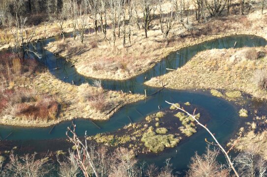 Aerial view of shallow pond that extends in four directions from a center point, in a wetland area.