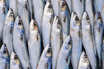 Obraz premium Frozen Symmetrical Fish at Eminonu Fish Market Photo, Eminonu Fatih, Istanbul Turkiye (Turkey)