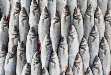 Frozen Symmetrical Fish at Eminonu Fish Market Photo, Eminonu Fatih, Istanbul Turkiye (Turkey)