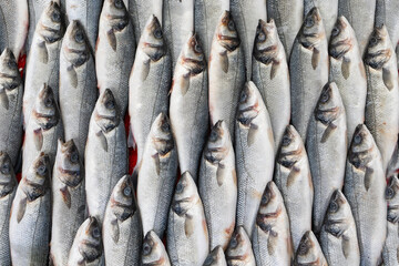 Frozen Symmetrical Fish at Eminonu Fish Market Photo, Eminonu Fatih, Istanbul Turkiye (Turkey)	