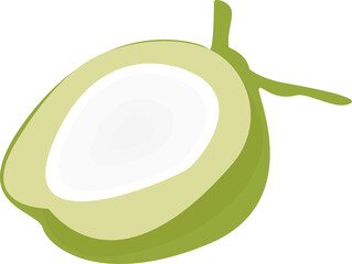 illustration of a half green coconut
