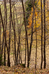 Piora valley, Ticino, Switzerland