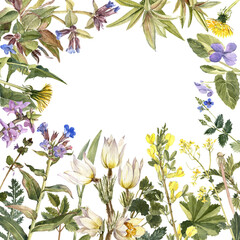watercolor drawing background with spring flowers at white background, natural cover design, hand drawn botanical illustration