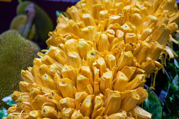 Close-up of a ripe and attractive golden jackfruit