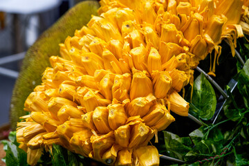 Close-up of a ripe and attractive golden jackfruit