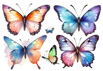 Watercolor butterflies set, isolated on white background. Hand drawn illustration