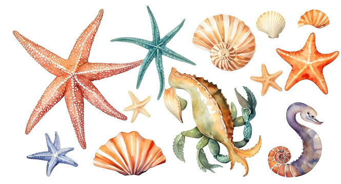 Watercolor set of starfish, seahorse and seashells