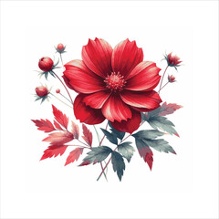 red watercolor flowers, isolated on white background