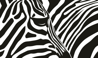 Zebra pattern shape vector in black white for background design