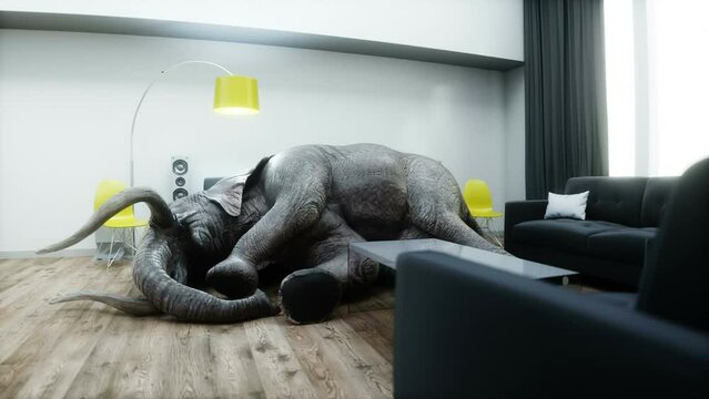 funny elephant sleeping in room. Realistic 4k animation.