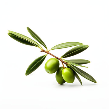 Olives with leaves on a white background