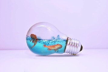 Fish in light bulb, light bulb in a glass
