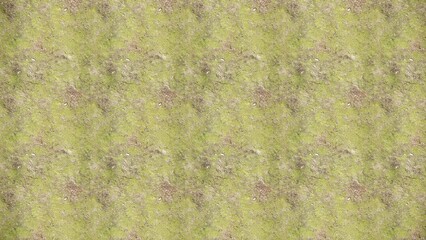 Green grass texture for sport background. Detailed pattern of green soccer field or football field grass lawn texture. Green lawn texture background. Close Up. 3D Rendering