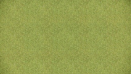 Green grass texture for sport background. Detailed pattern of green soccer field or football field grass lawn texture. Green lawn texture background. Close Up. 3D Rendering