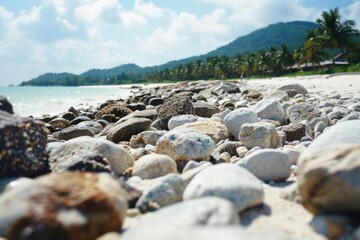 Fototapeta na wymiar Beach with rocky shoreline and mountain in background