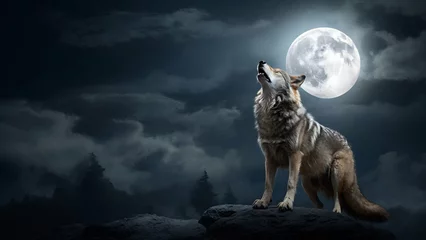 Fotobehang wolf howling at the moon © Wonder Fix