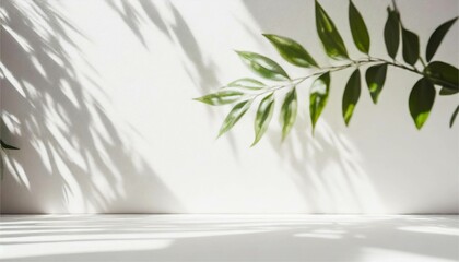 ボタニカル　植物　葉　影　木　シルエット　イメージ　フレーム　背景　AI生成画像　イラスト素材