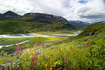 A beautiful Rapa river landscape from above with native flowers blooming on the hillside. Summer...