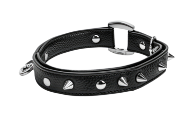 Spike Collar for Dogs in Black Leather isolated on transparent Background