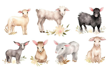 Naklejka premium Young Watercolor animal cute Goat donkey domestic sheep babies easter baby animals cow farm