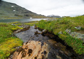 A small, rocky mountain stream in Sarek National Park, Sweden. A beautiful summer landscape with water flow in Northern Europe wilderness.