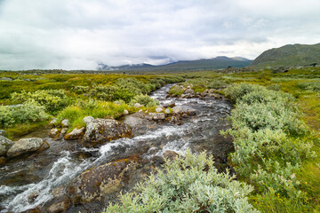 A small, rocky mountain stream in Sarek National Park, Sweden. A beautiful summer landscape with water flow in Northern Europe wilderness.