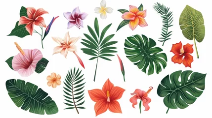 Muurstickers Tropische planten A tropical collection of exotic flowers and leaves. Isolated elements on a white background. Modern design.