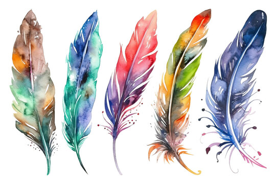 Watercolor white colorful feathers decoration style set boho feathers background Birds
