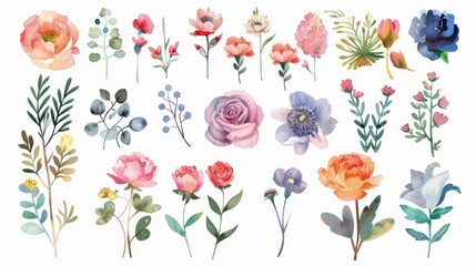 An illustrative set of watercolor herbs, ranunculus, anemones, and roses. Colorful vintage leaves, flowers, and branches. Modern illustration.