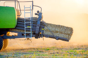 Bale of compressed straw in combine. Combine harvester pressing straw from field. Sunny summer...
