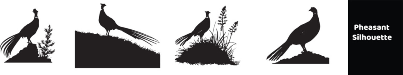  Set of Silhouette image of pheasant isolated stock illustration