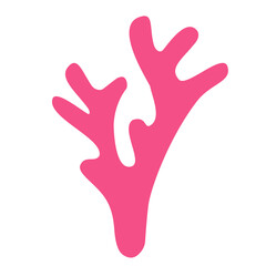 Obraz premium marine coral reef