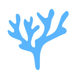 Obraz premium marine coral reef