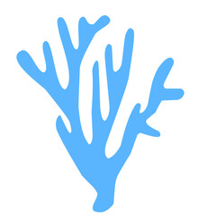 Fototapeta premium marine coral reef