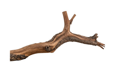 Fototapeta premium Gnarled wooden tree branch isolated on white
