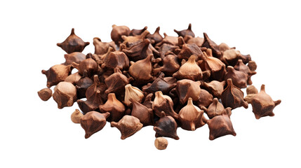 Fototapeta premium Dry cloves isolated on transparent a white background
