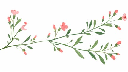 Obraz na płótnie Canvas An elegant spring flower stem in a meadow. A delicate wildflower sprig. An elegant seasonal herb. Flat modern illustration isolated on white.