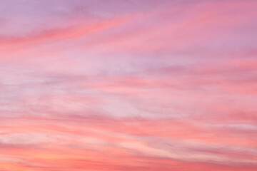 Obraz premium Twilight sky sunrise in the morning. Soft colourful clouds. Beautiful nature. Sunset sky.