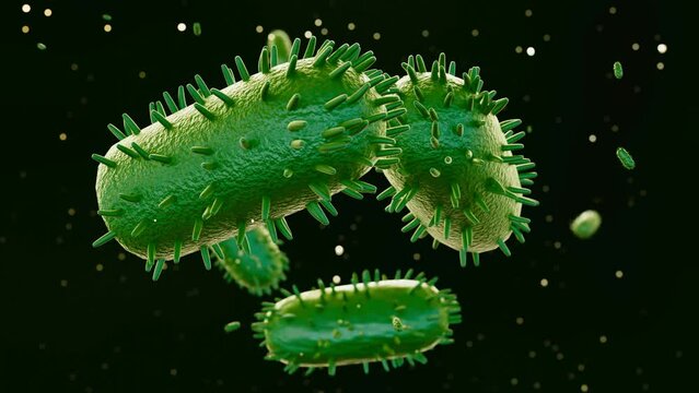 3d animation of  lyssavirus cause fatal acute viral encephalomyelitis known as rabies.