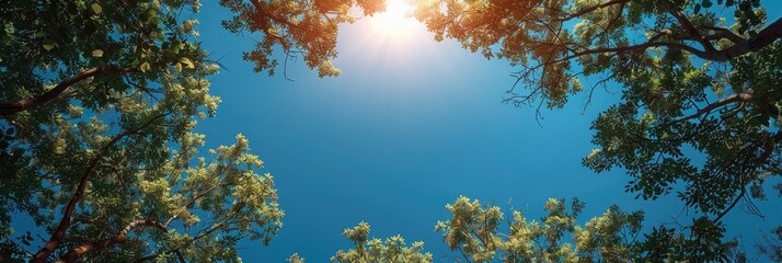 Obraz premium Tree Blue Sky Top Against, Background Banner HD