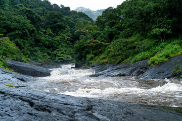 water flowing over rocks in the forest