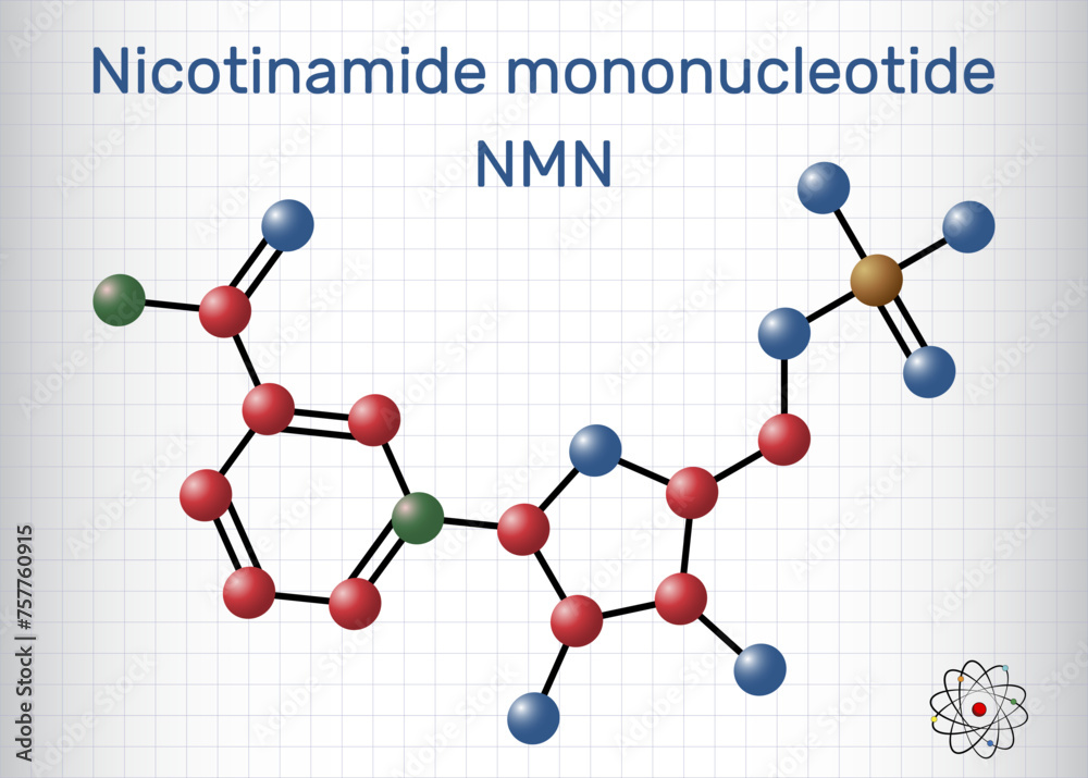 Canvas Prints nicotinamide mononucleotide, nmn molecule. it is naturally anti-aging metabolite, precursor of nad+.