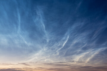 Polar noctilucent clouds