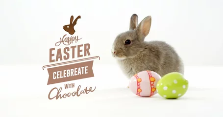 Foto op Aluminium Image of easter eggs with bunny and happy easter text © vectorfusionart