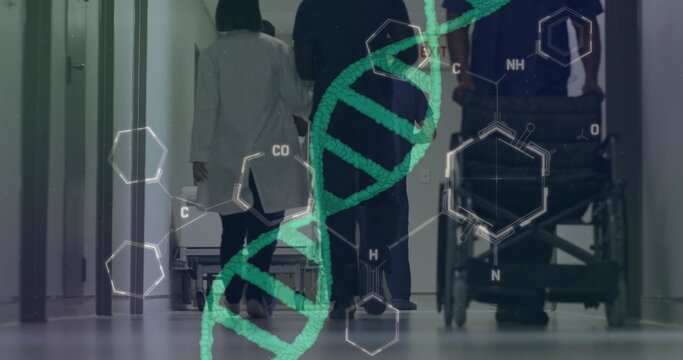Image of dna strand and chemical formula over diverse doctors working at hospital - Powered by Adobe